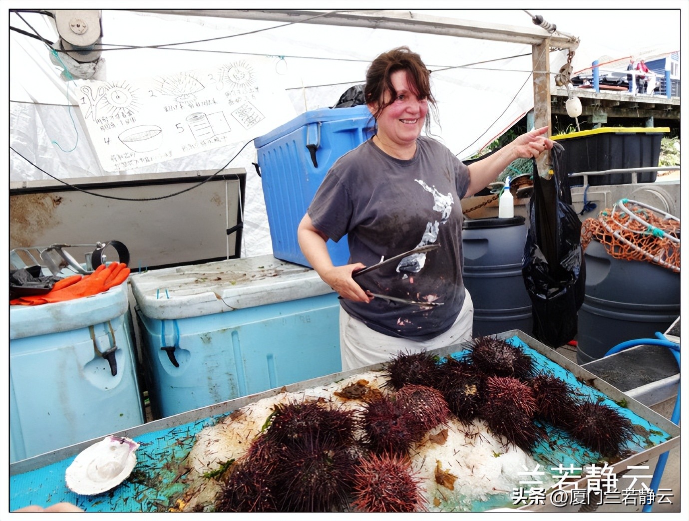加拿大温哥华渔人码头详解,加拿大海鲜市场
