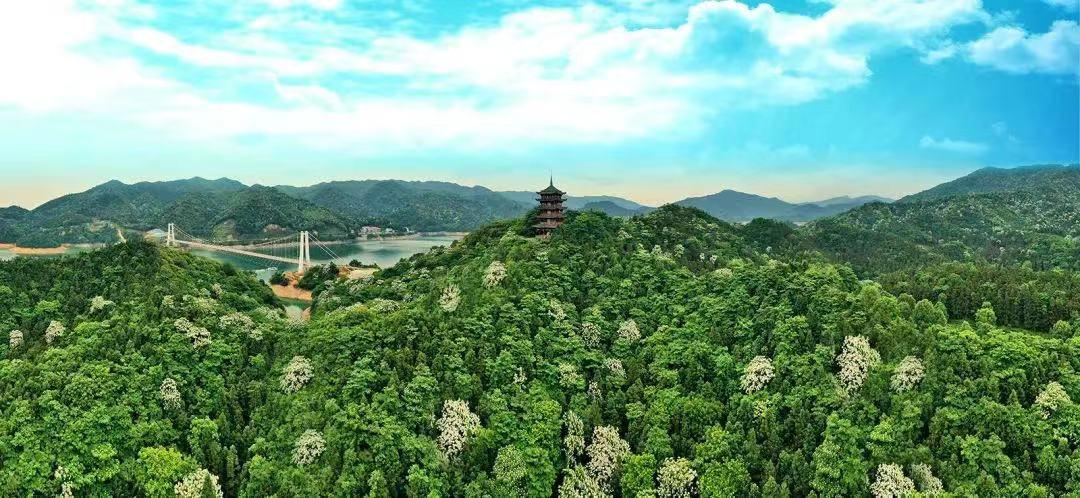 株洲消费券要来了,百万团购券等你来抢