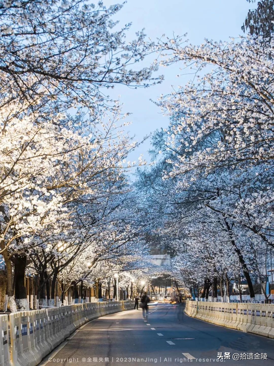 南京鸡鸣寺樱花盛开的时候,鸡鸣寺看樱花要门票吗