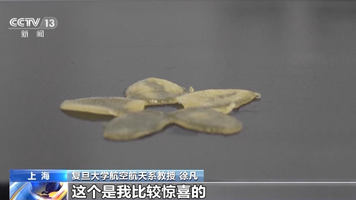 高质量发展调研行丨鼓励科学家勇闯“无人区”上海基础研究特区“特”在哪？