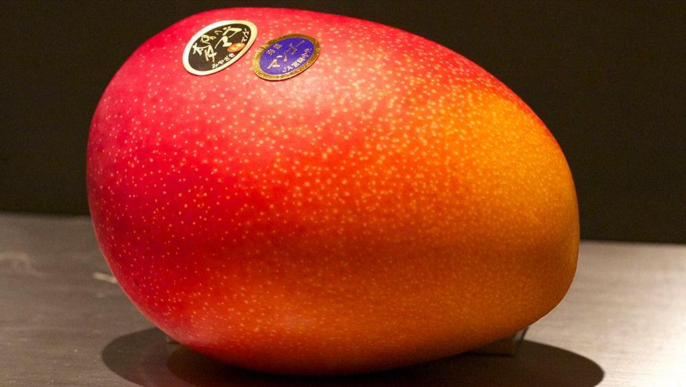 盘点火爆卡塔尔8道菜,卡塔尔最贵十种水果