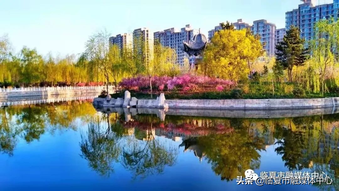 临夏湿地公园建设项目,临夏城市公园绿化工程