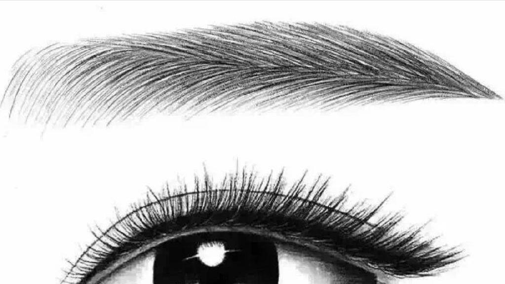 50岁后男人眉毛变长意味着什么,眉毛变长是长寿还是有病