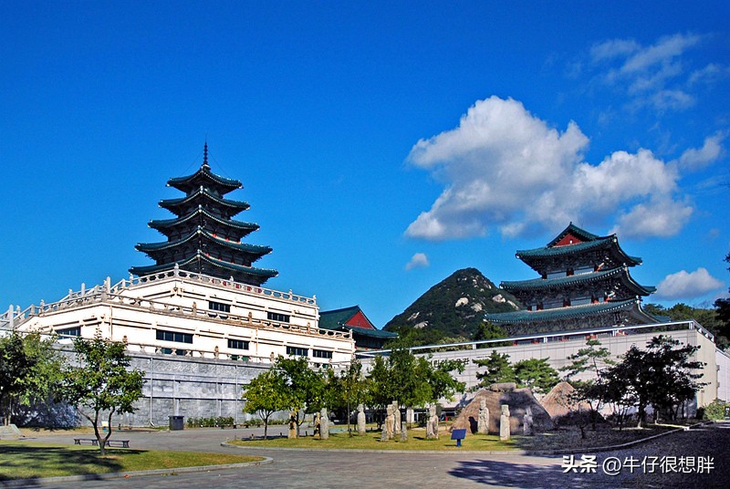 12.29最新各国对中国游客入境疫情防控政策