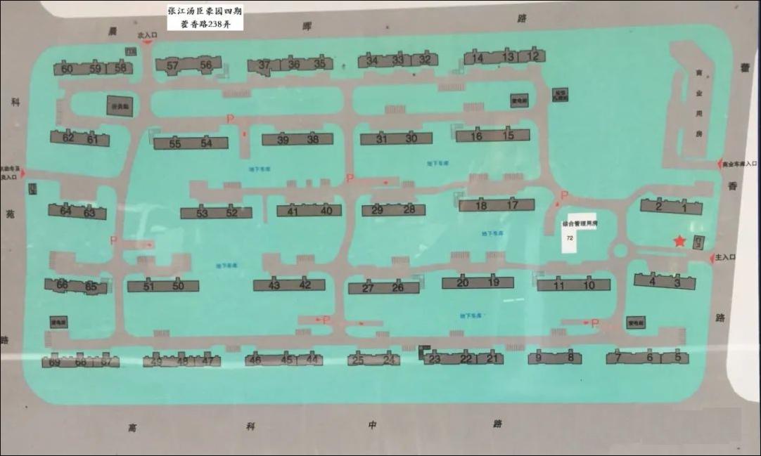 张江汤臣豪园三期2009年6月开盘,张江汤臣豪园低层复式