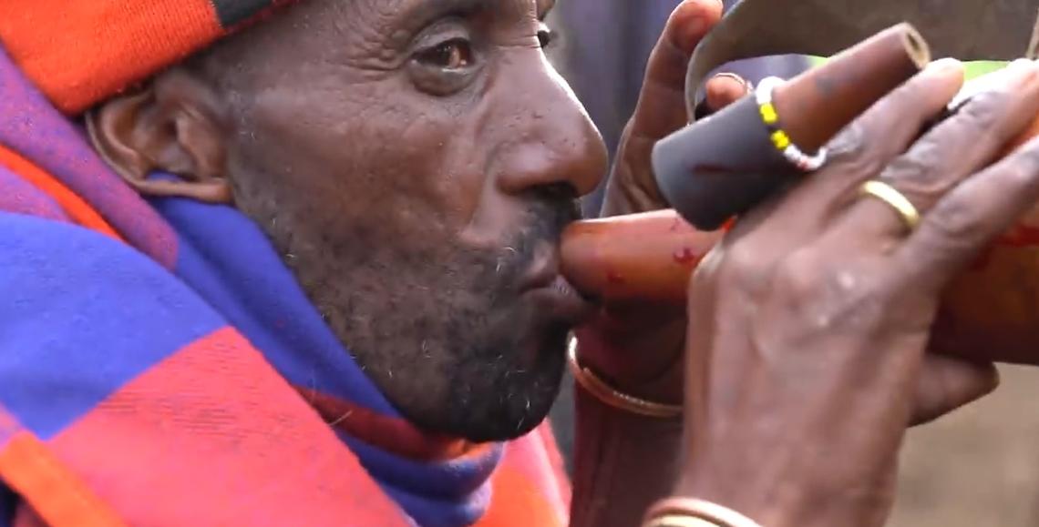 草原之王狮子怕马赛人,狮子怕马赛人还是草原霸主