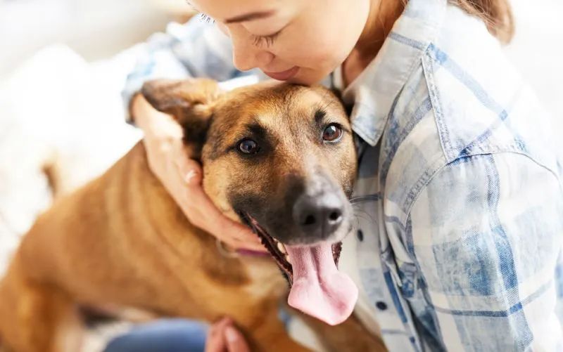 狗狗打喷嚏咳嗽干呕是咋回事,狗狗咳嗽干呕打喷嚏症状