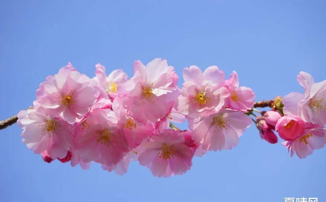 怎么对付冷漠无情的人,怎么化解自己的冷漠