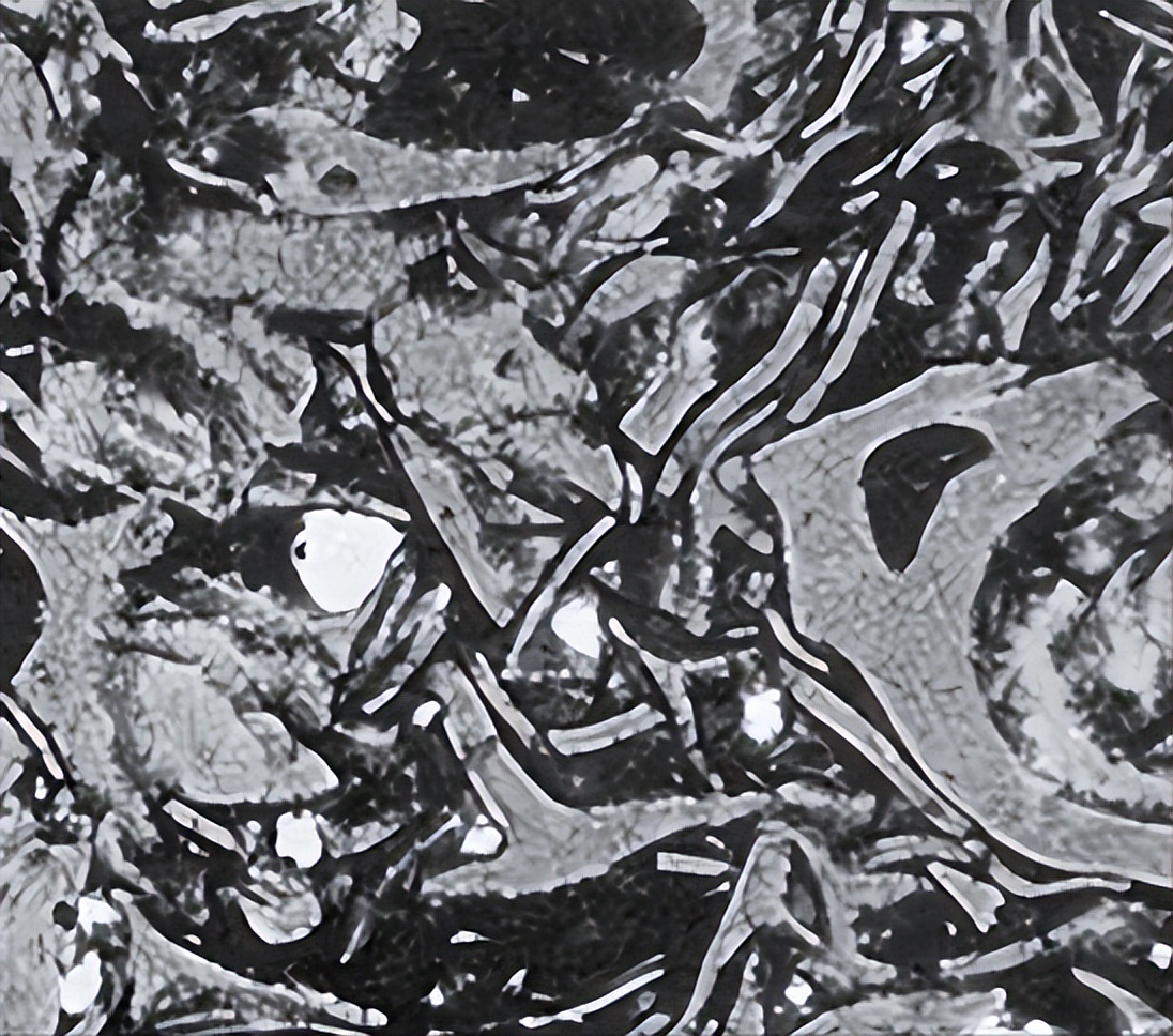 高粘性液体中不断增长的气泡的聚结