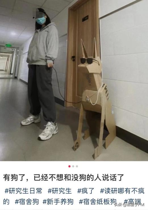 我有“奥特曼狗”，你有啥狗？宿舍养“狗”火遍各大高校！心理专家提醒来了