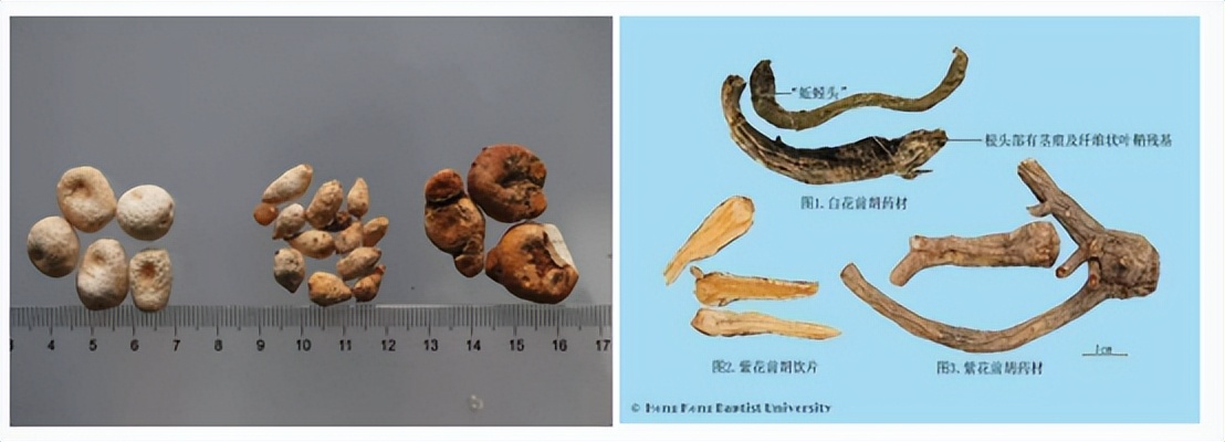 中药高价消费时代，中医馆如何控本增效？