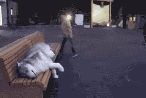 在沙发上妹子用这样的眼神看着你，你怎么做？「囧图时刻」