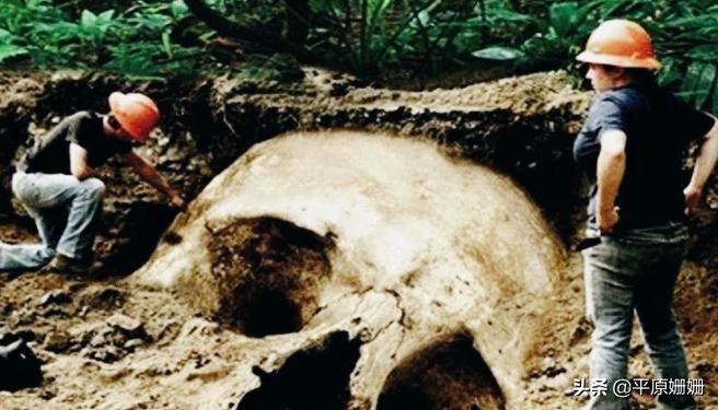 世界上巨人族存在吗,地球上出现过的神秘生物