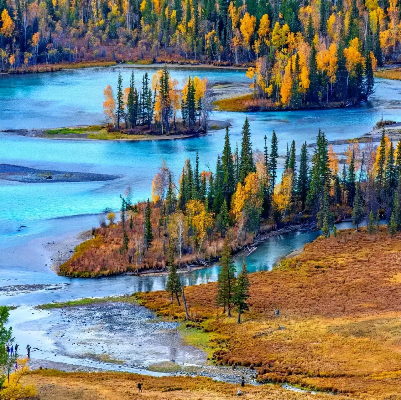 我的*疆新**情缘（中）