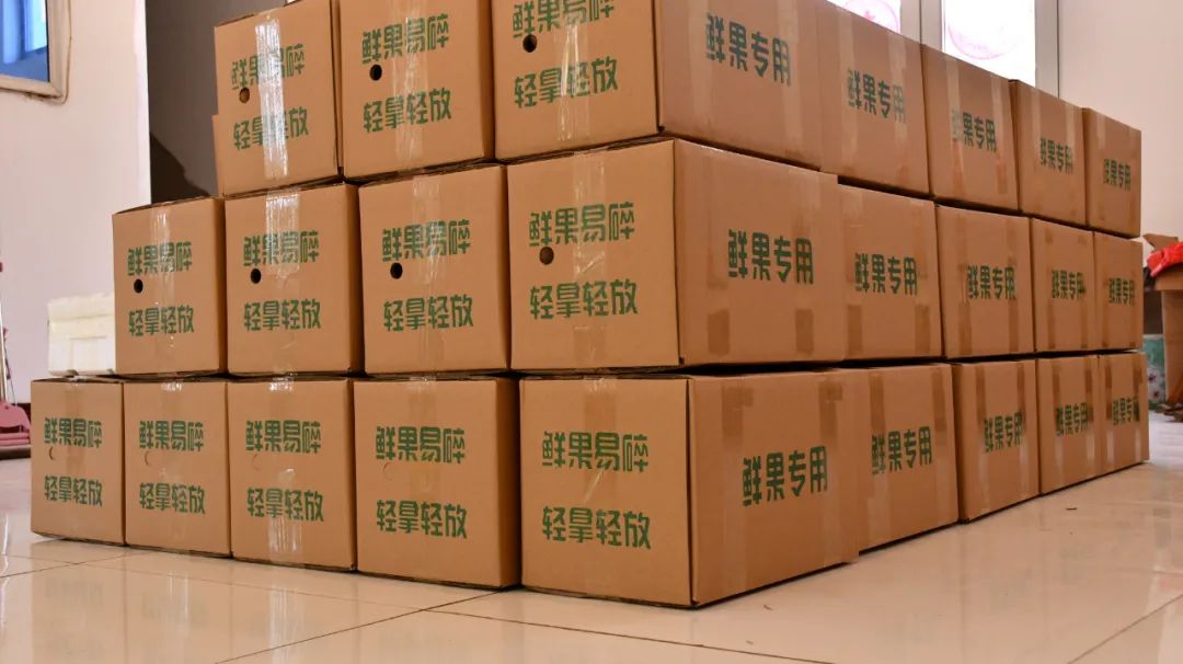 惠民麻店：农村电商如双翼麻店瓜菜飞全国