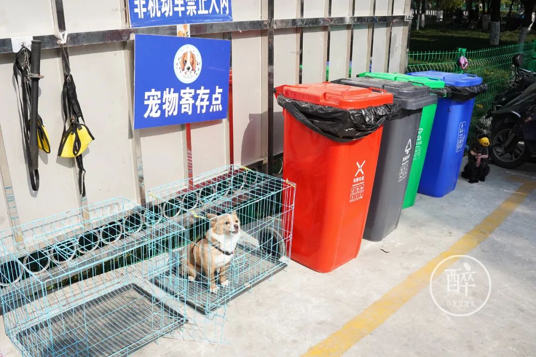 成都这个市场只开半天还放高温假，地图上找不到