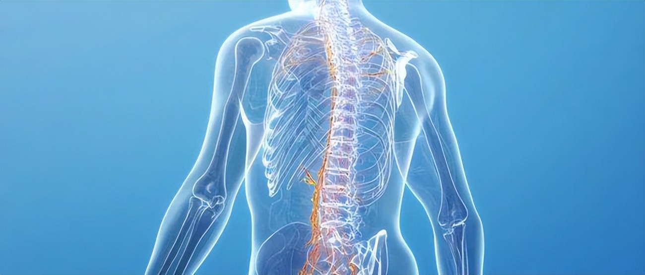 强直性脊柱炎治疗方法和中药,强直性脊柱炎的治疗方法中医