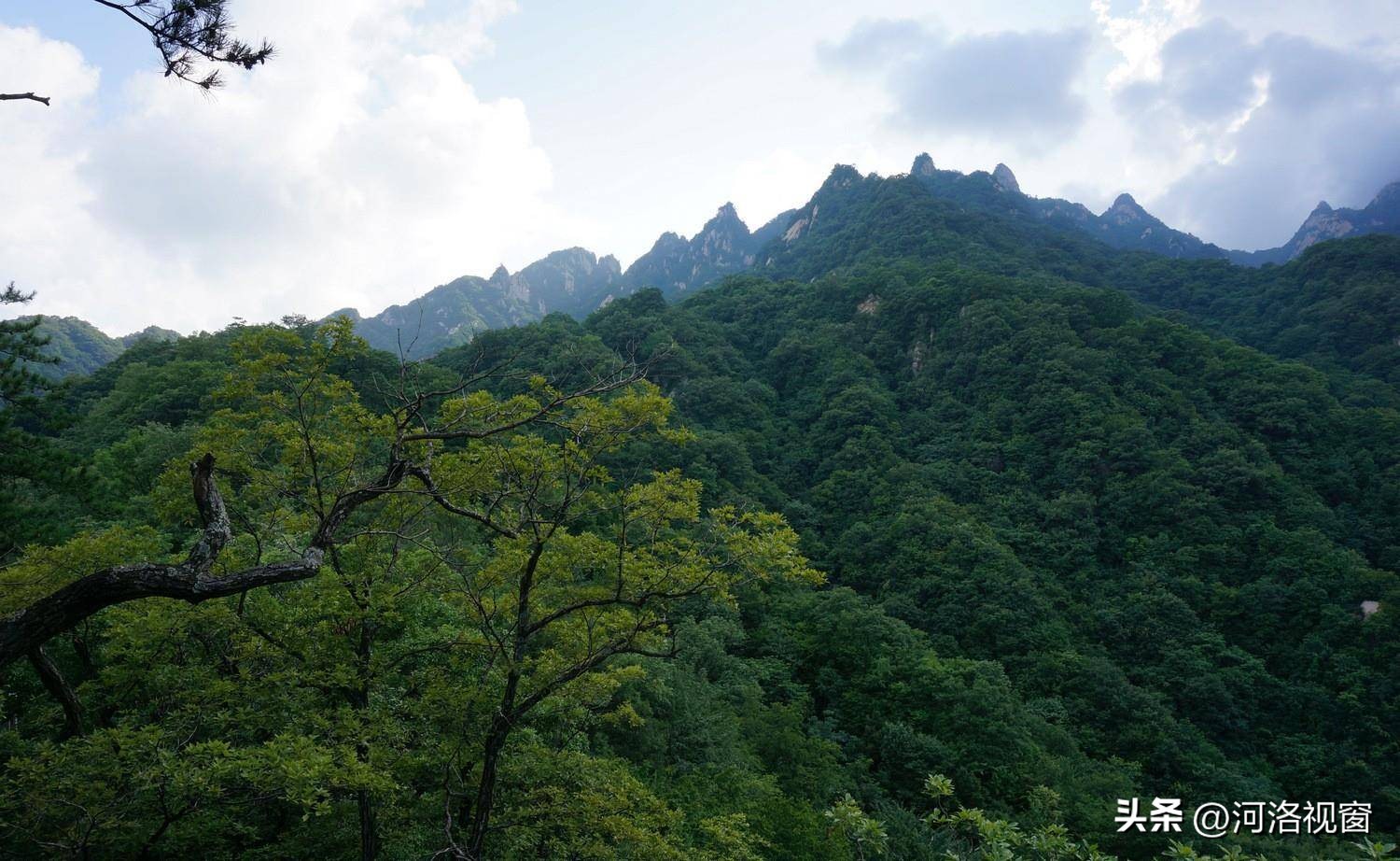 寻幽探胜答案,寻幽探胜