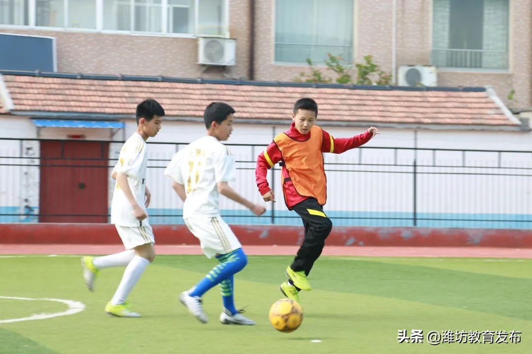 新闻周播报视频,新闻周播报