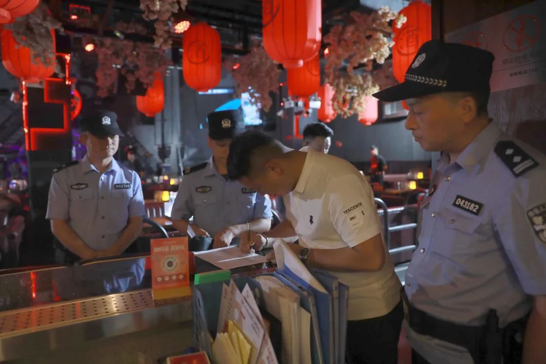 大理社会治安专项整治,大理市公安局治安突出问题整治