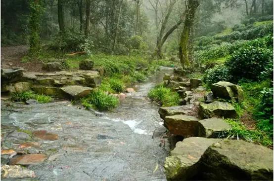 杭州好玩的地方和景点排行榜,杭州周边好玩的地方景点免费