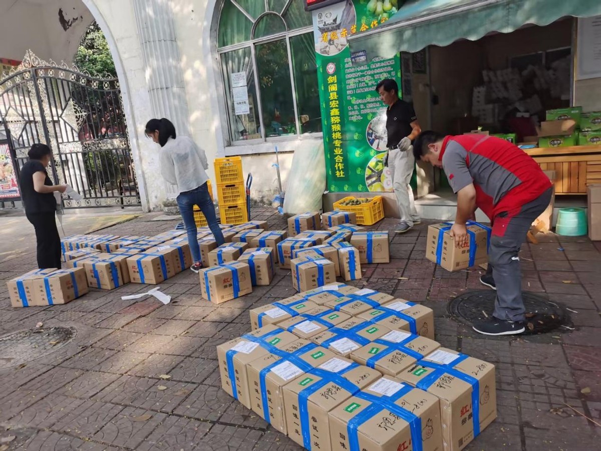 广元返乡创业能人,广元创业女老板