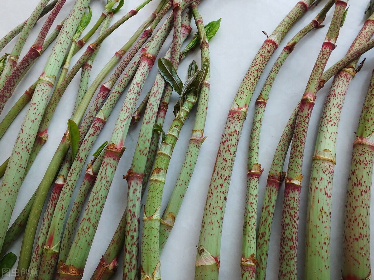 高血脂吃中药可以降血脂吗,高血脂的中药治疗方法