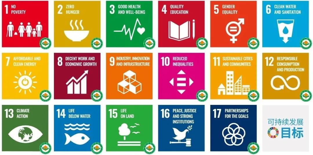 养活8000万人需要多少粮食,养活6亿人每年需要多少吨粮食