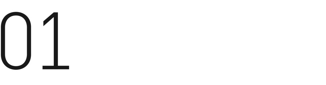 沙蒜冷门小海鲜,望潮最好吃的海鲜