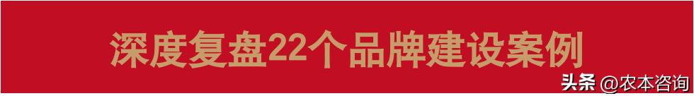 武鸣沃柑什么品种最好,武鸣沃柑热销全球