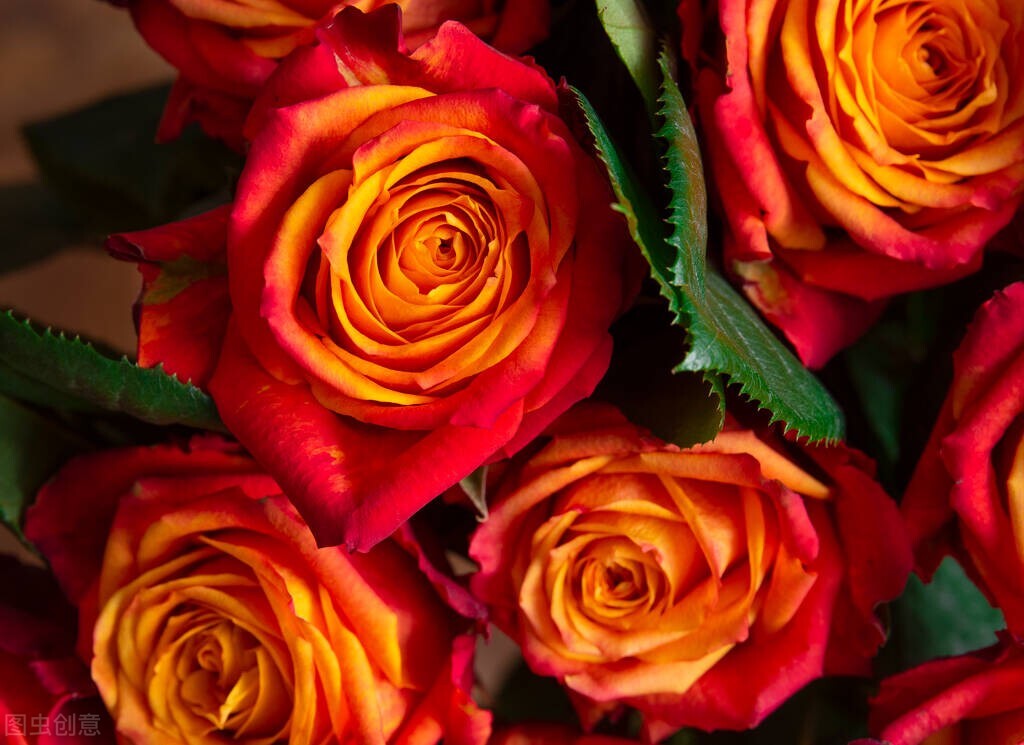 爱意荒凉完结,爱意荒芜小说