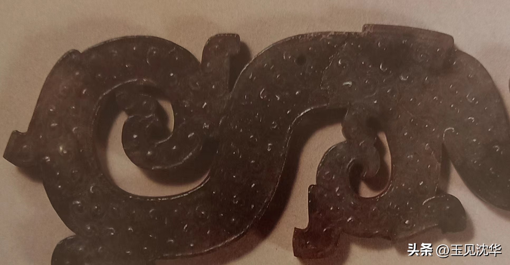 沈华玉文化讲座全文,汉代玉器龙形佩的主要特征