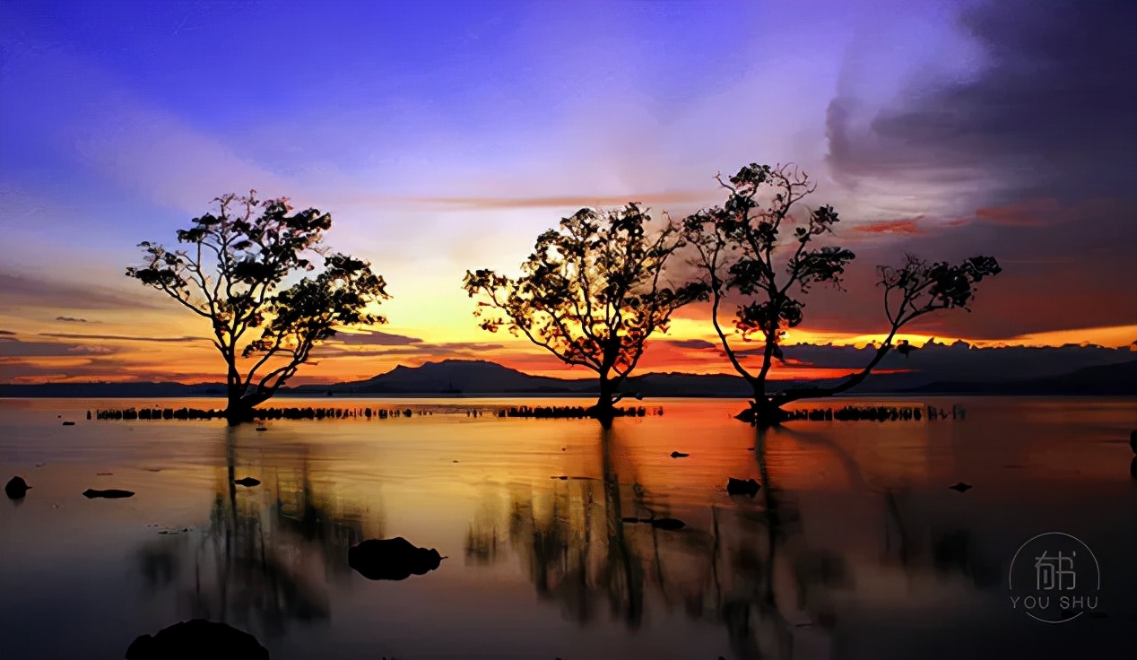 吴承恩曹雪芹四大名著,曹雪芹和吴承恩