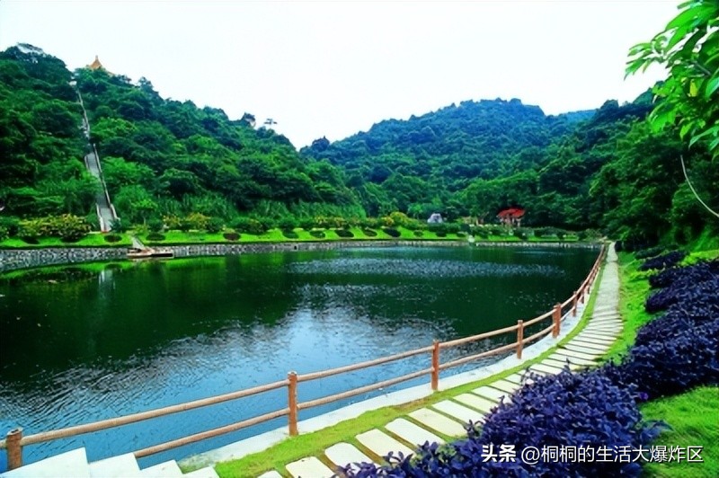 广州适合搭帐篷露营的地方 (广州户外免费露营地推荐)