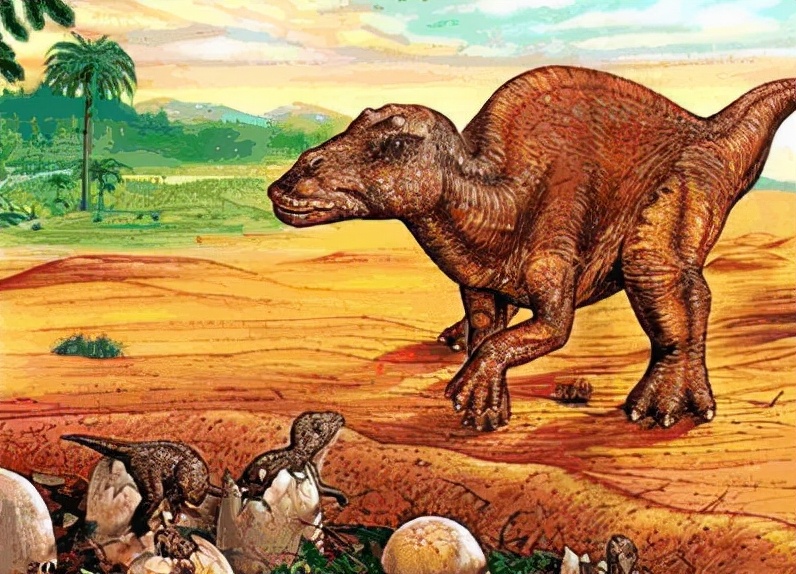 五种比霸王龙还厉害的恐龙,十种可以秒杀霸王龙的恐龙