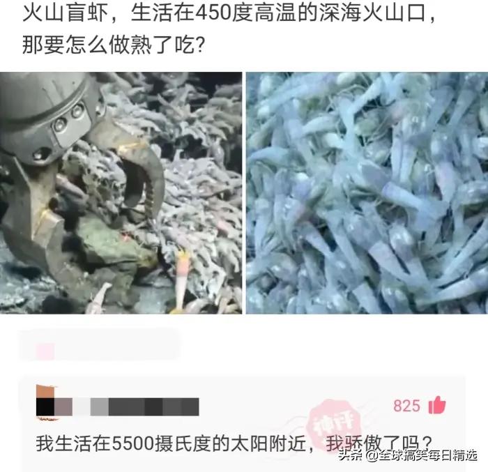 你的岗位还招人吗神回复,问做什么工作怎么神回复