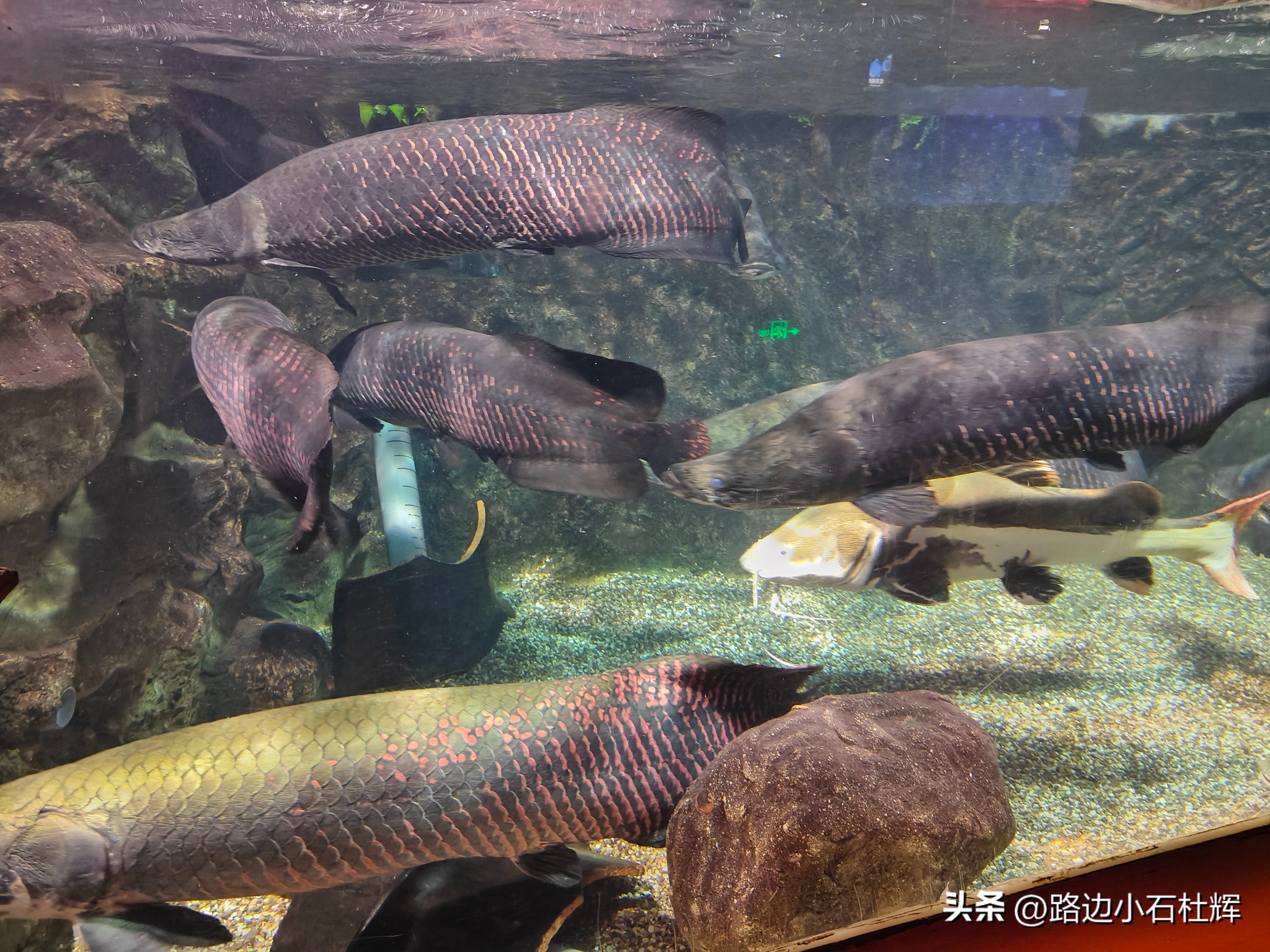 游游人间,游旅人间