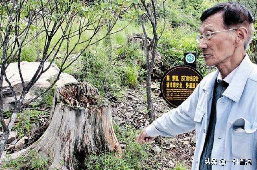 神农架野人真的曝光吗,神农架野人的真实存在吗