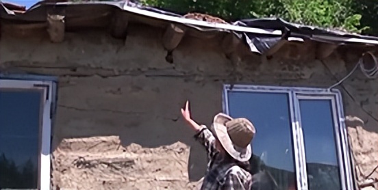 黑龙江女子养了20多条蛇,黑龙江女子养蛇