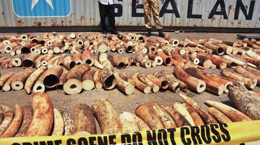 圣灵抵抗军头目科尼：流窜非洲，杀人绑架，190万人因他成难民