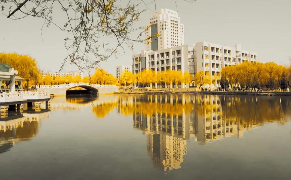 这所高校是机械四小龙之一，河北“无冕之王”