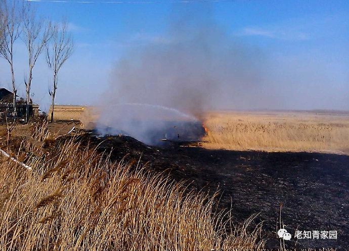 梁晓声知青小说,梁晓声知青全文