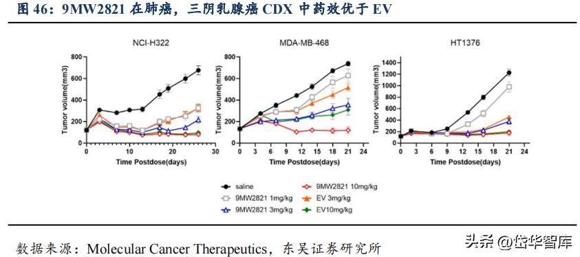 有效避开内卷，迈威生物：ADC锋芒初显，快速成长的Biopharma