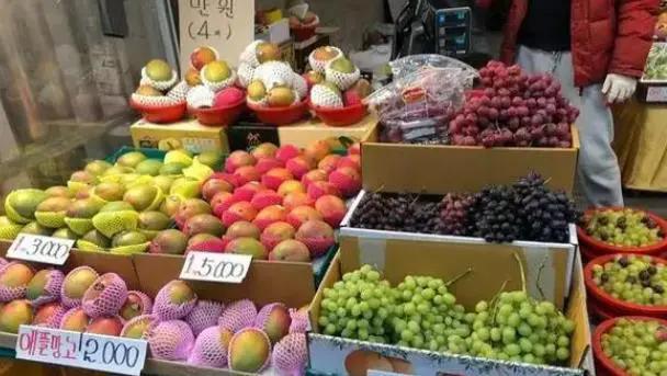 韩国旅行回去读书,韩国旅行用语100句