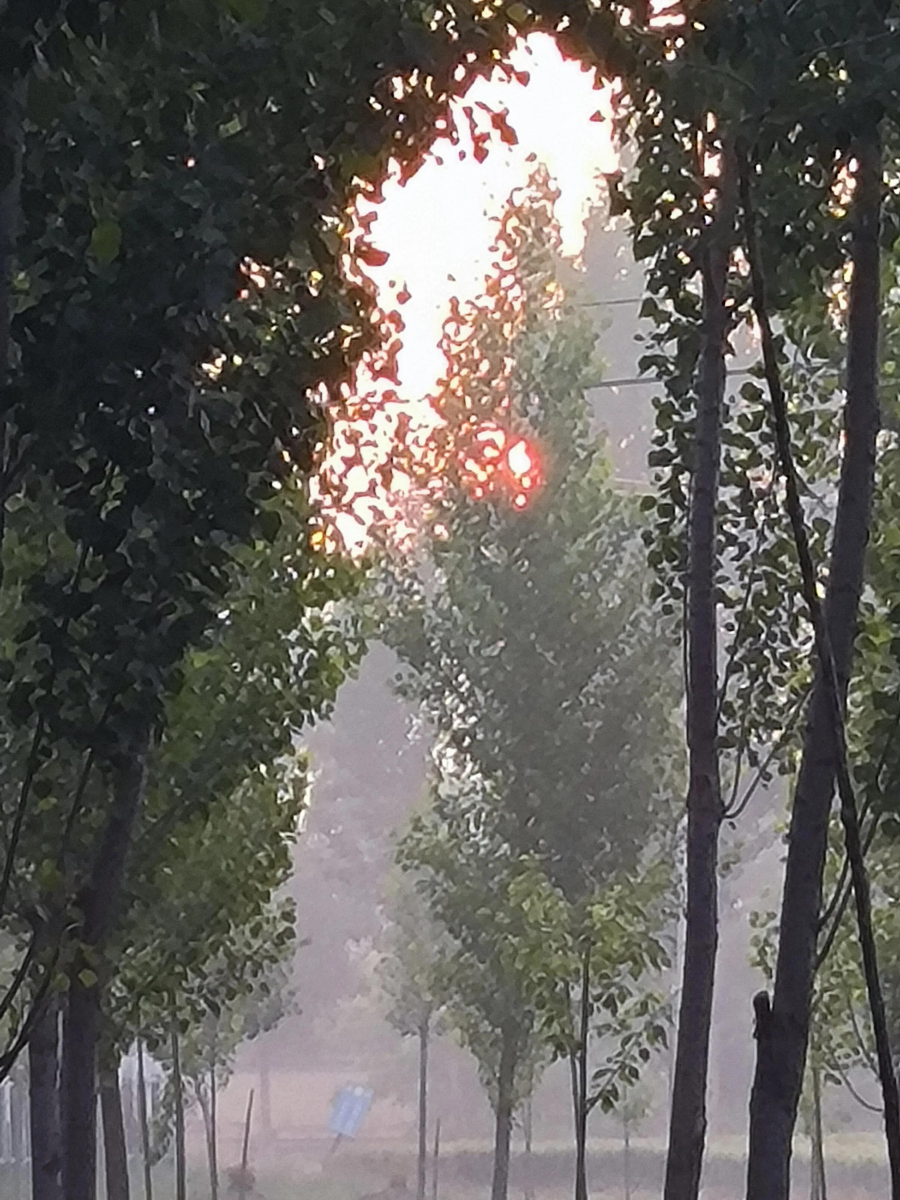 经典七字对联集锦欣赏,经典对联合集大全简单