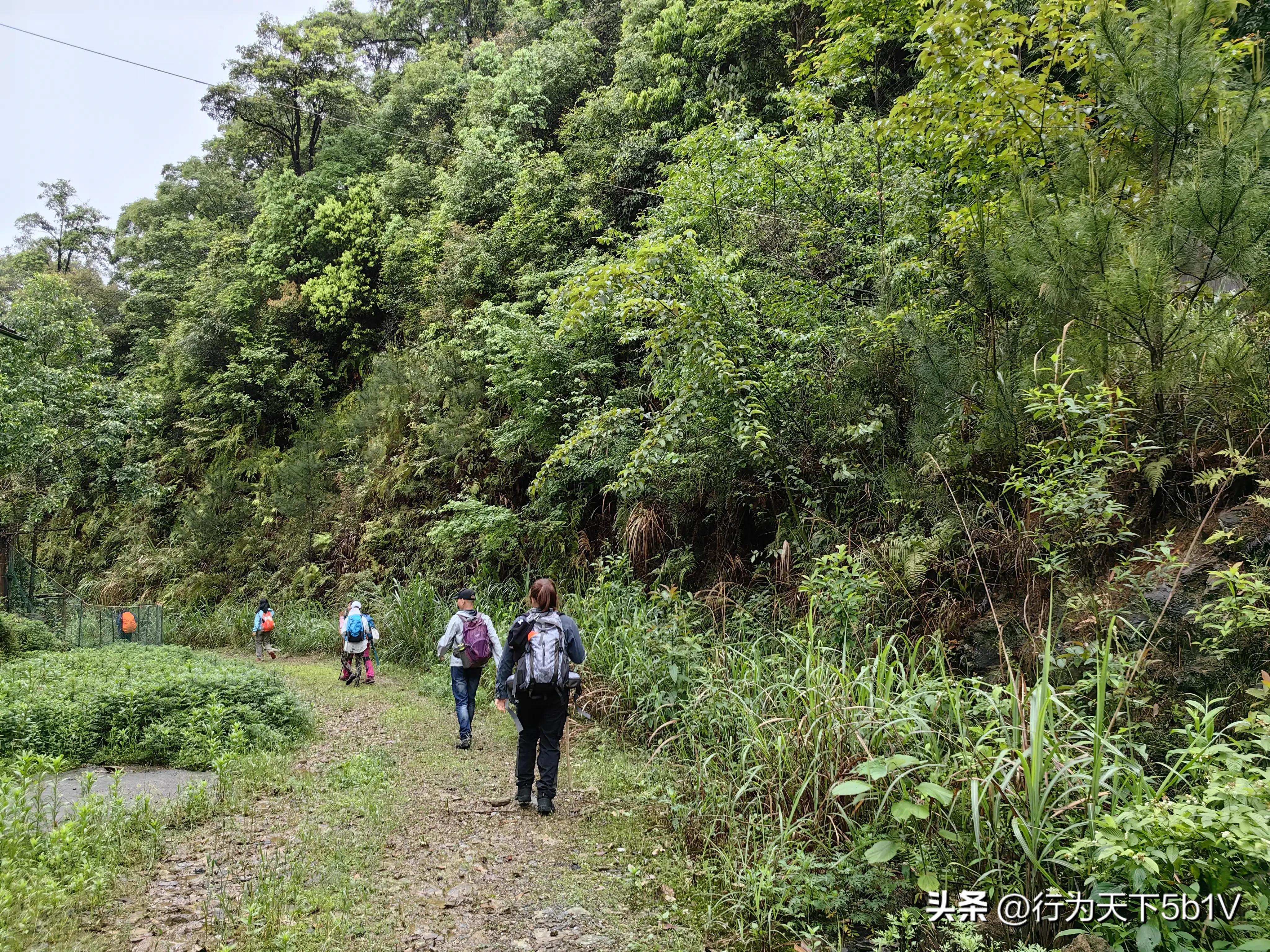 【探秘宛田红滩瀑布溯溪梦江吉翁瀑布】穿越花坪神秘风景线