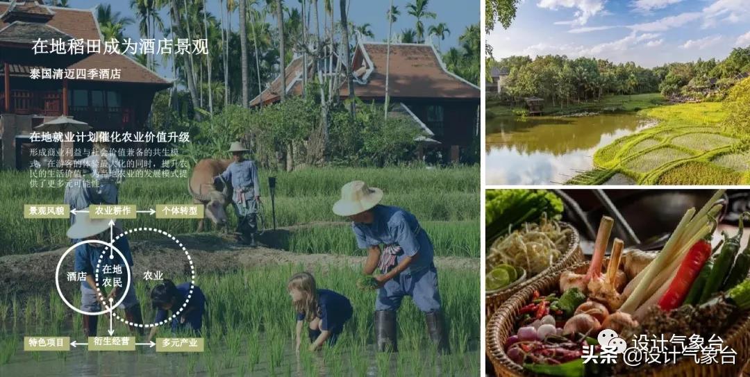 俞孔坚的设计作品,俞孔坚景观设计学