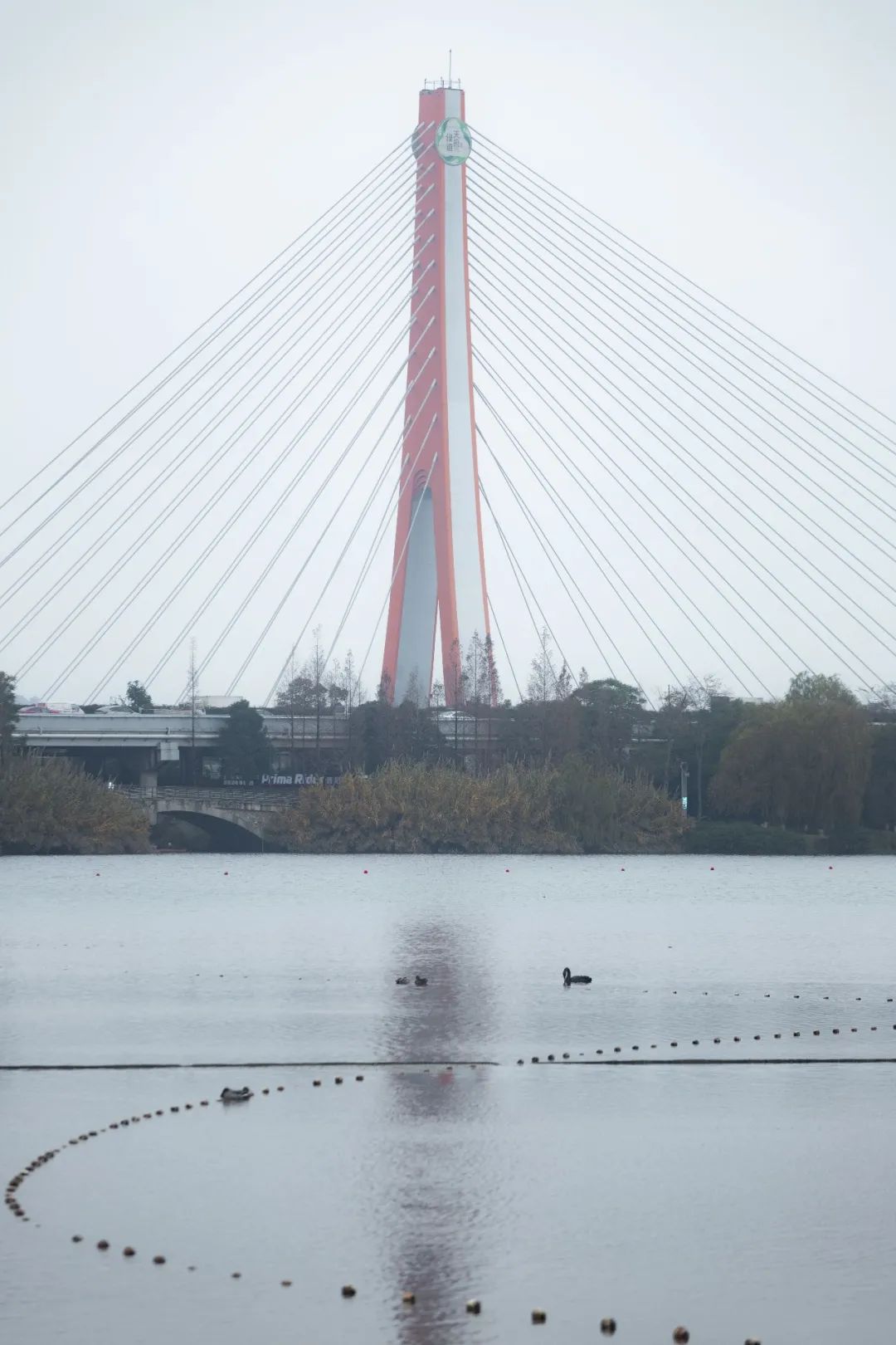 10个城市宝藏,成都还有哪些宝藏公园