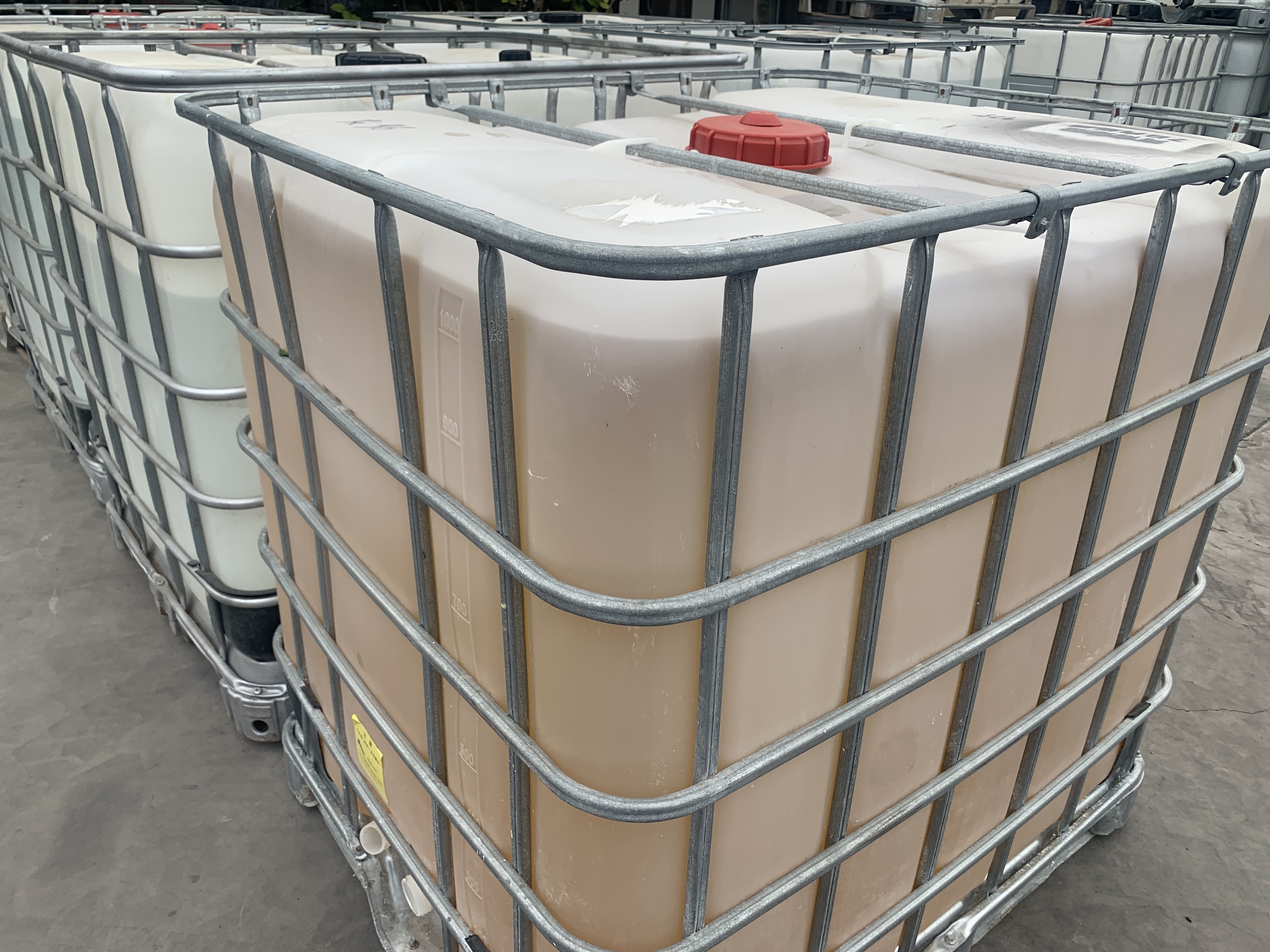 与植物油燃料搭配的植物油,植物油燃料的前景怎么样