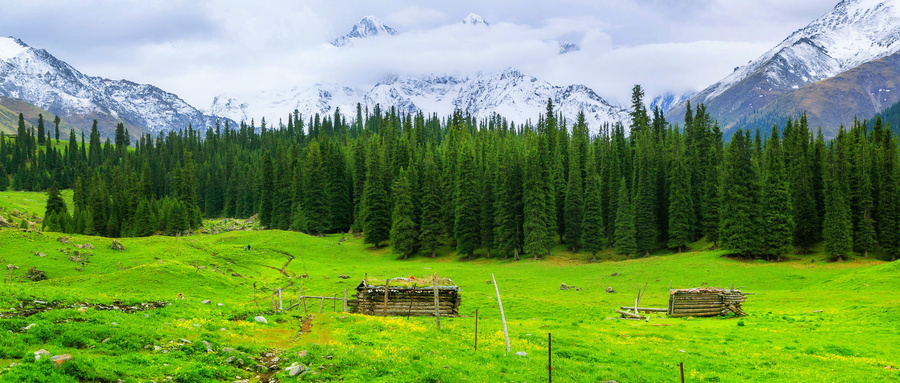 新疆疆内旅游最新通知,疆内旅游需要什么